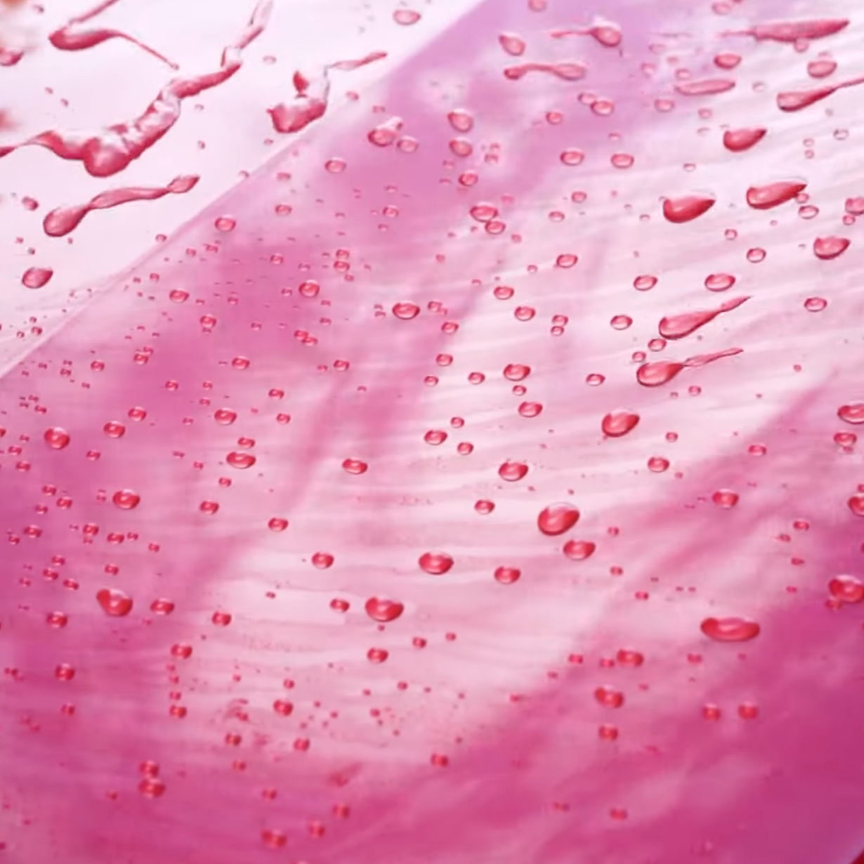 Hydro Ceramic Wet Coat|撥水ウェットコート