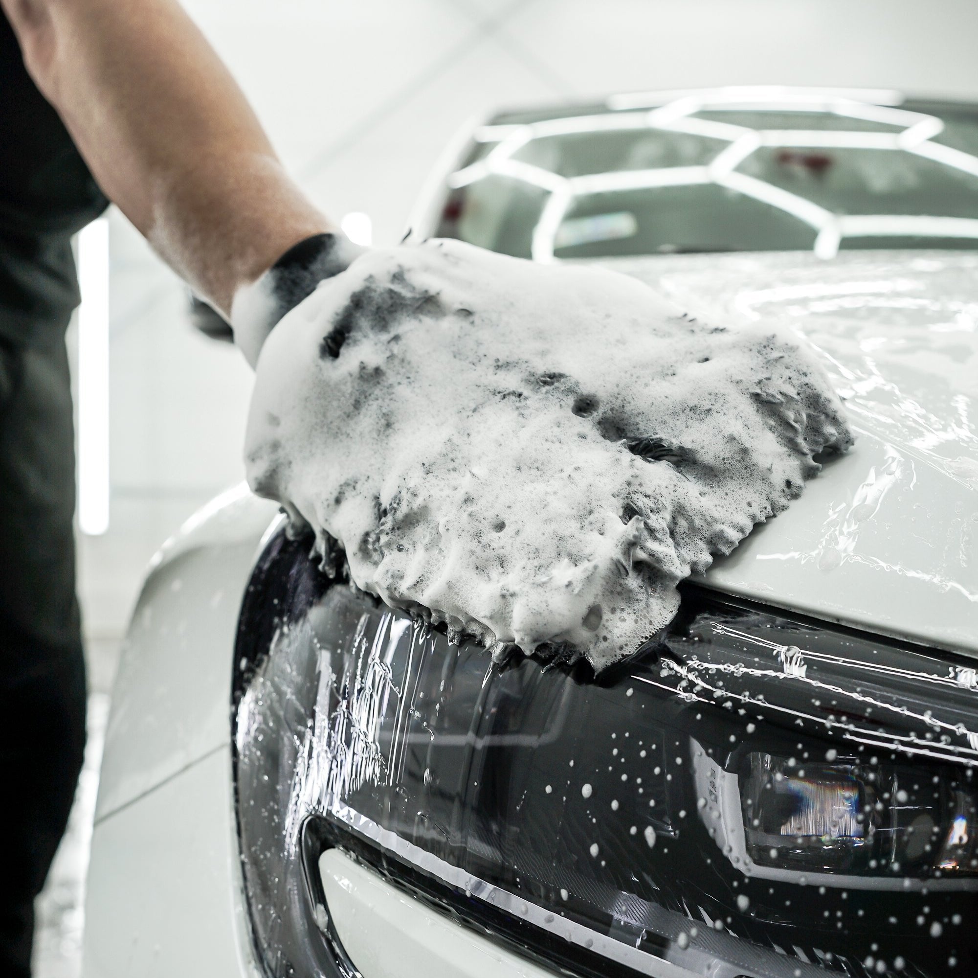 Shampoo+|高濃度 脱脂シャンプー