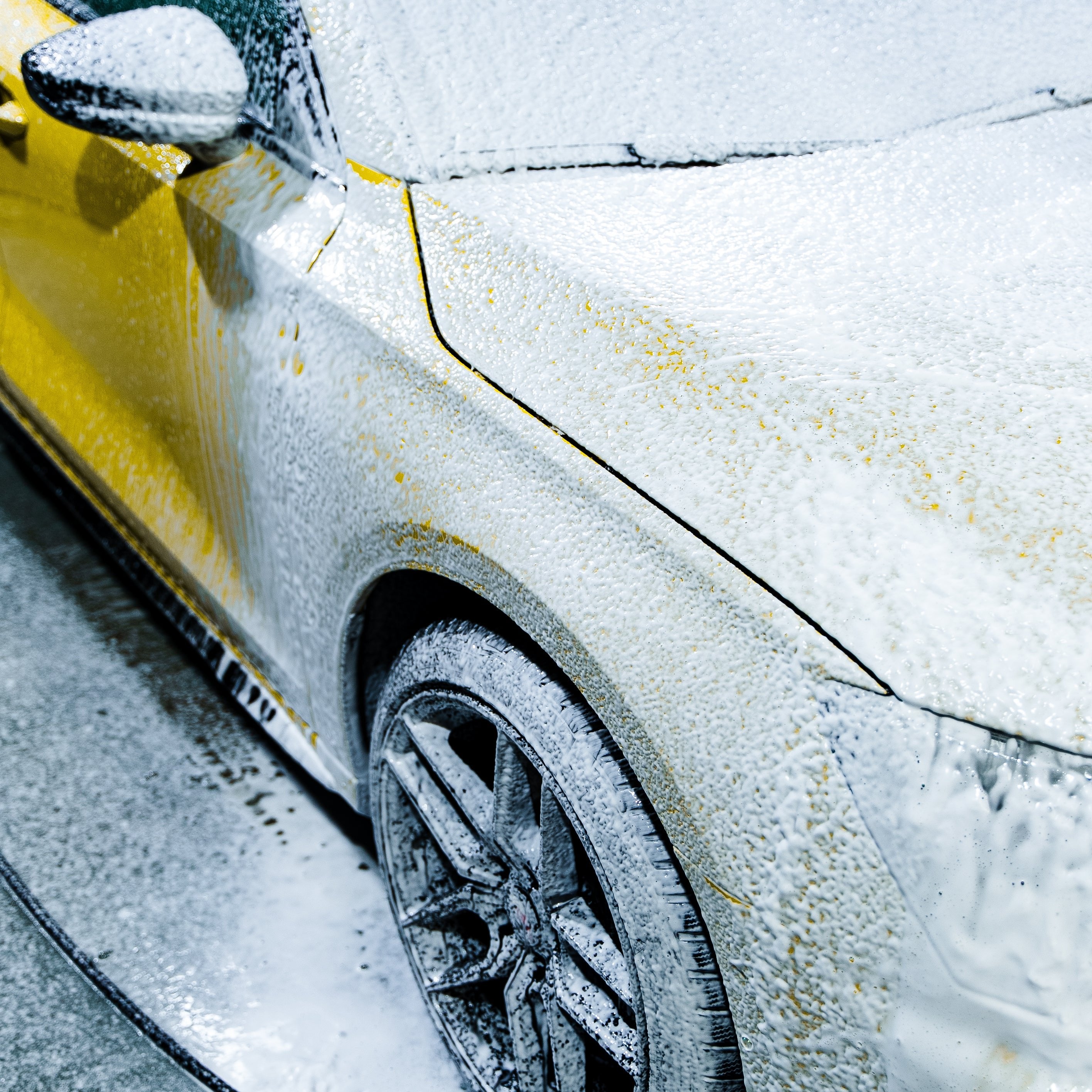 TANGY|大容量 酸性シャンプー