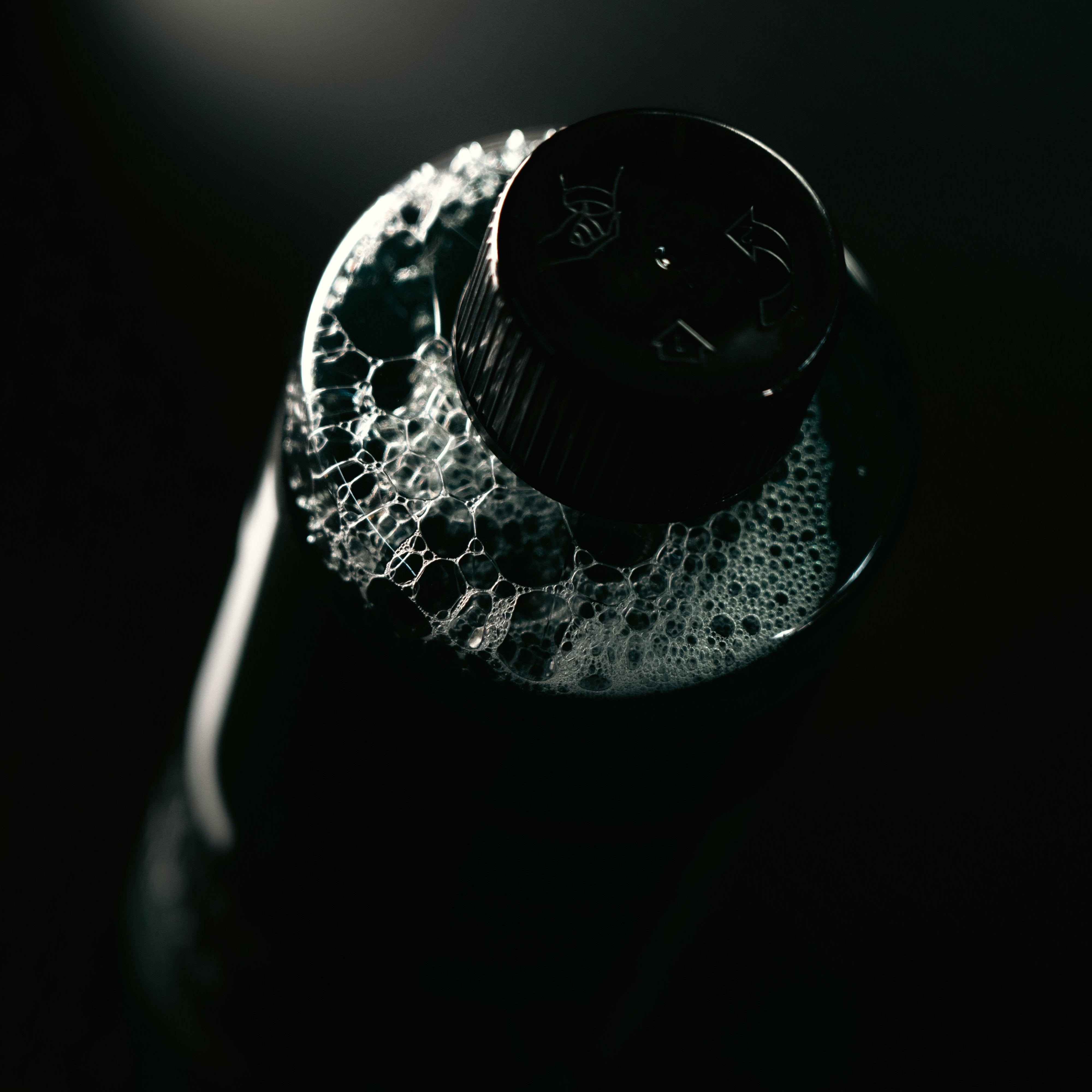 【限定モデル】Purify S Shampoo V2 | 次世代 艶特化セラミックシャンプー