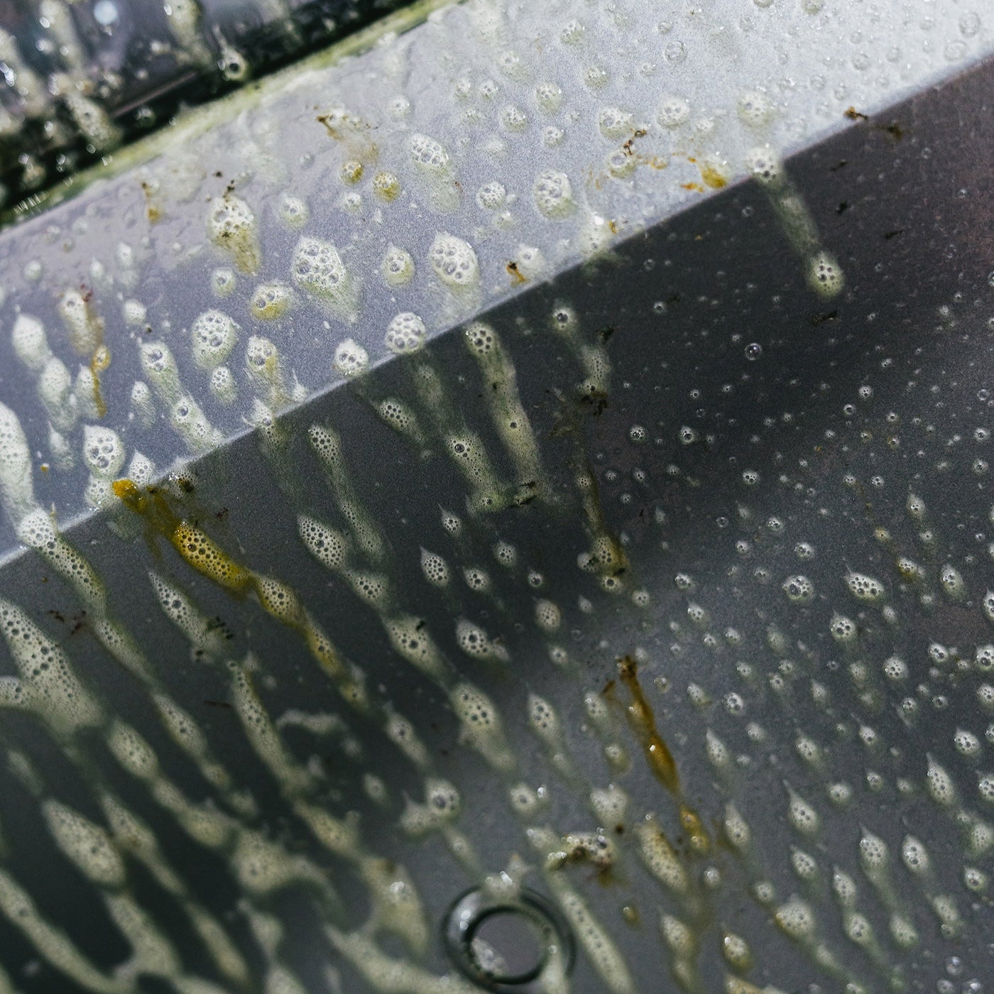 Insect Remover Gel|インセクトリムーバージェル