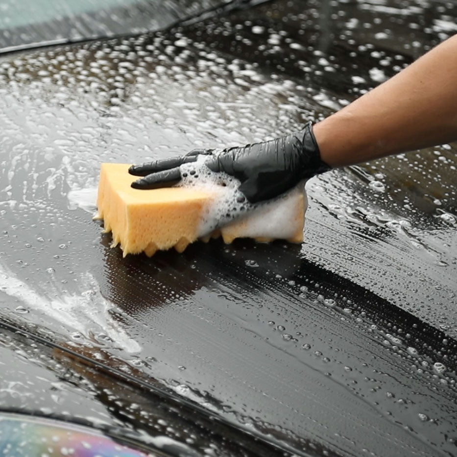 Ultimate Profile Sponge|アルティメットスポンジ